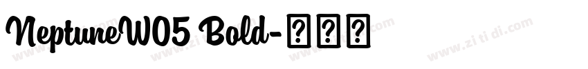 NeptuneW05 Bold字体转换